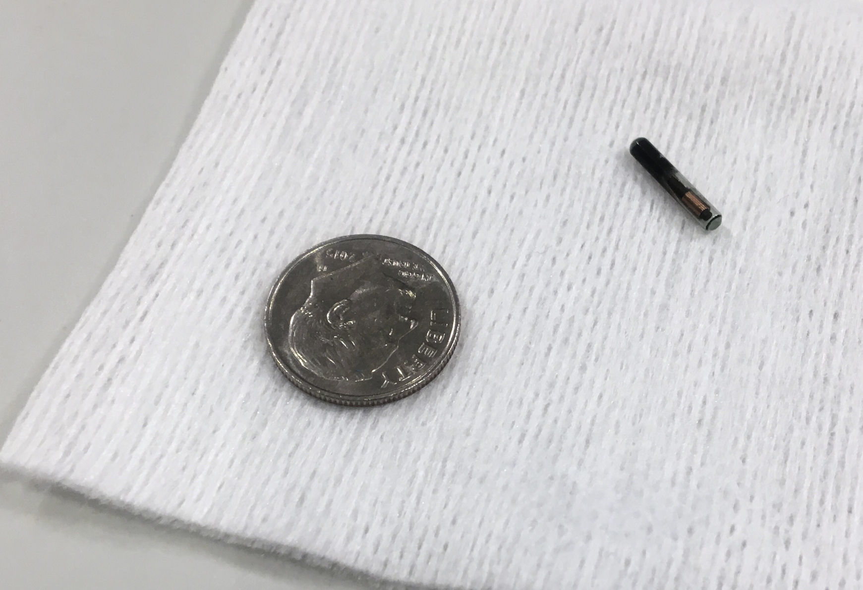 Microchipped Employees